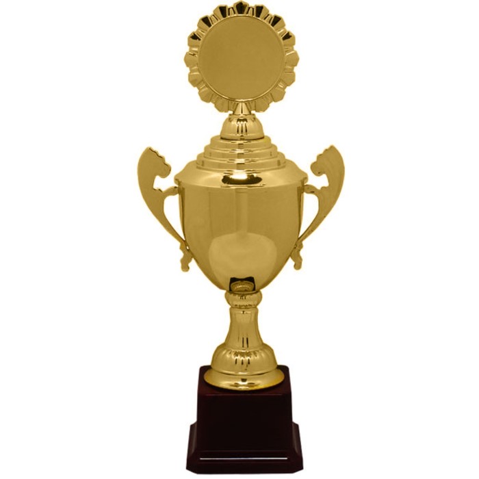 Кубок , HB 4160 D, h=29 см, d=80мм