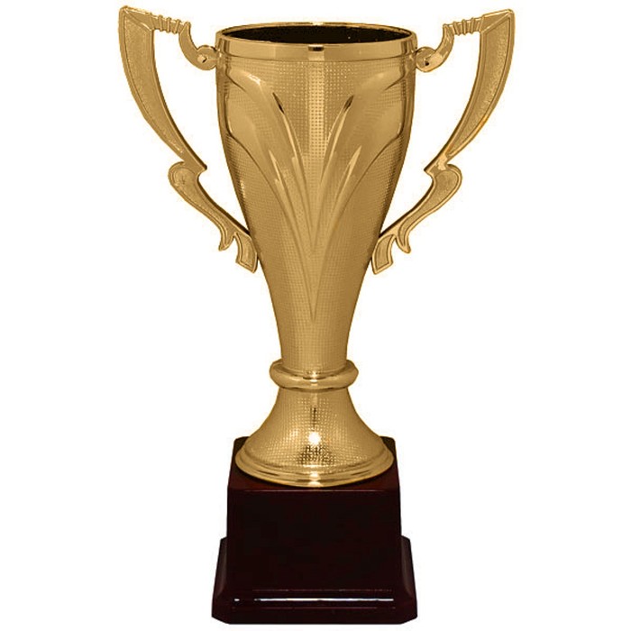 Кубок , HB 5030 C, h=19,5 см, d=60мм