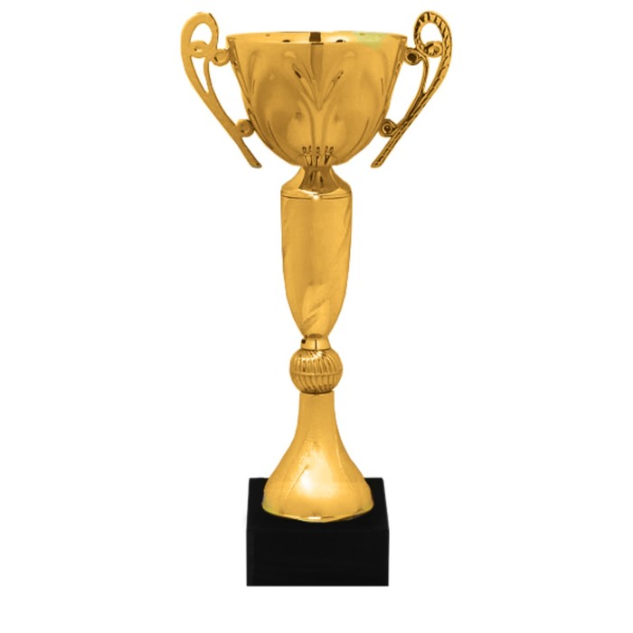 Кубок  KB 5056 C, h=34,5 см, d=120 мм