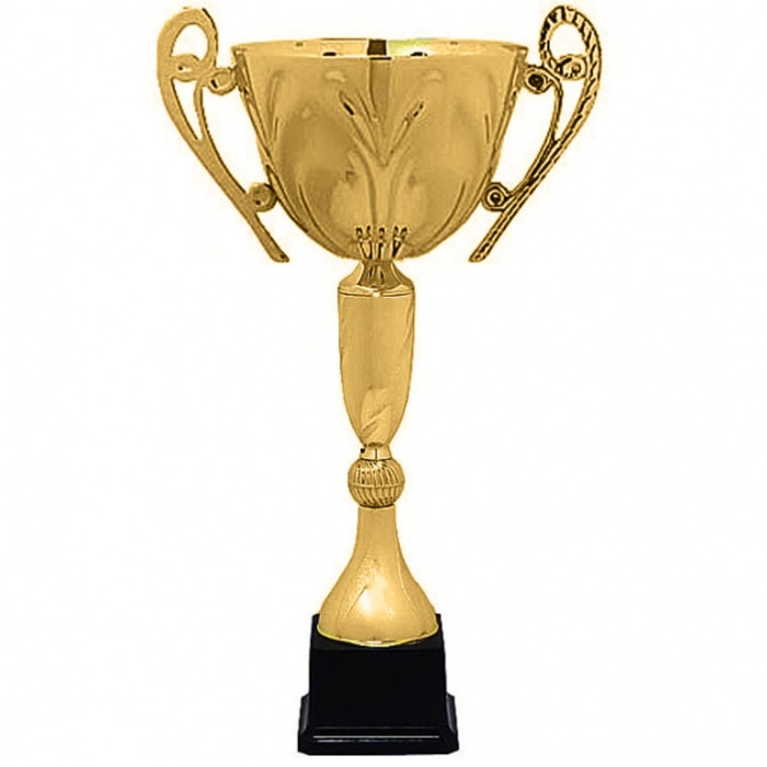 Кубок  KB 5057 E, h=28 см, d=80 мм