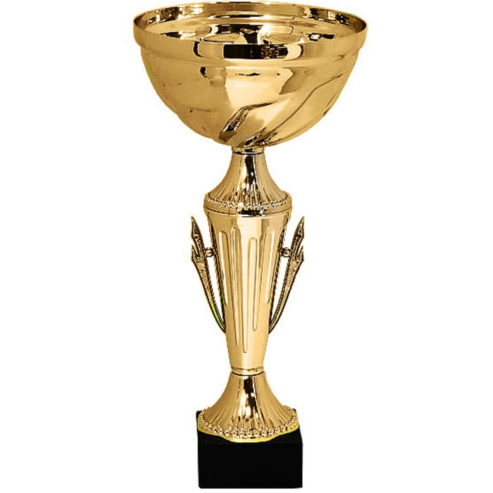 Кубок KB 8020 B, h=26 см, d=100мм