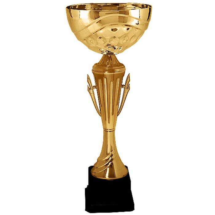 Кубок KB 8035 D, h=23 см, d=80мм