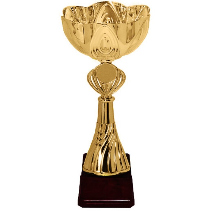 Кубок KB 8311 D, h=21 см, d= 80 мм