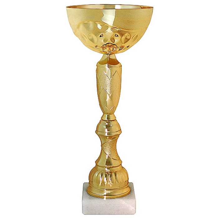 Кубок  KB 8408 A, h=24,5 см, d=100 мм