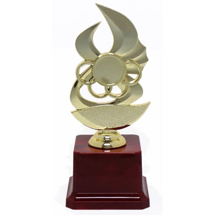 Кубок F221/G место под эмблему h=17,7см, d= 7,5