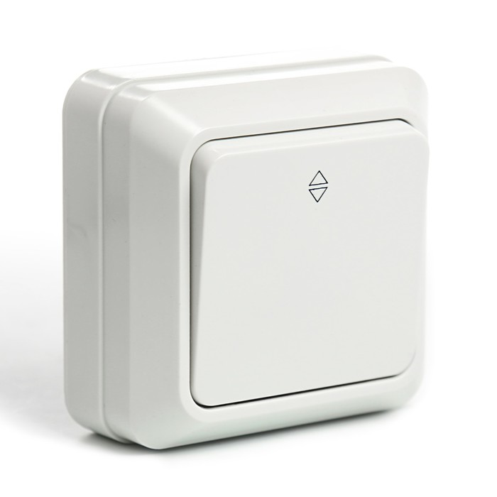 Переключатель на 2 направления 1-кл. открытой установки IP20 10А, белый "Ладога" TDM
