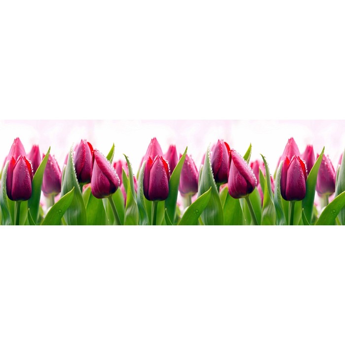 Фартук ХДФ № 427 "Тюльпаны" 2440х600х3 мм