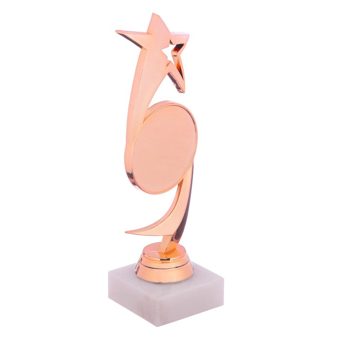 Кубок "Звезда"