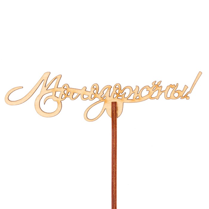 Топпер "Молодожёны" 12х3 см