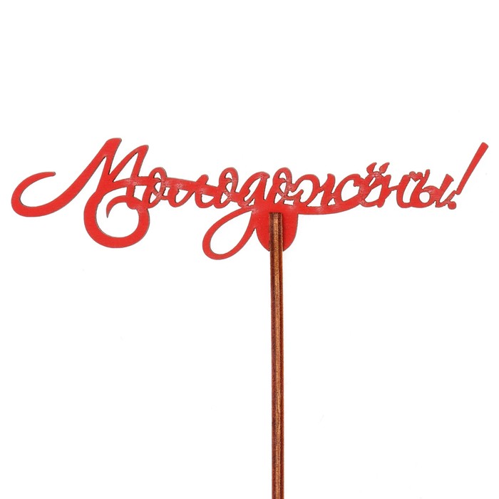 Топпер "Молодожёны" 12х3 см, красный