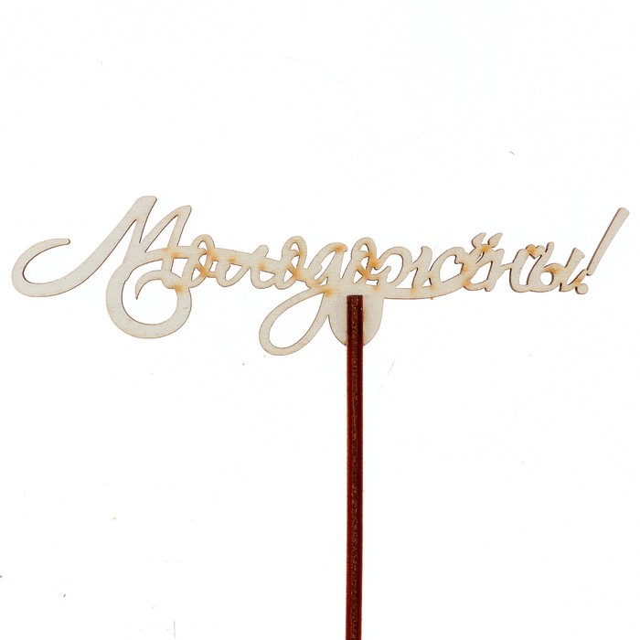 Топпер "Молодожёны" 12х3 см, белый