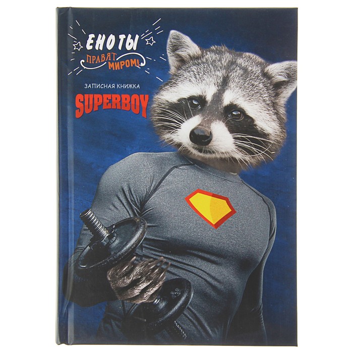 Записная книжка твёрдая обложка А5, 128 листов "Енот спортсмен", поролон, матовая ламинация
