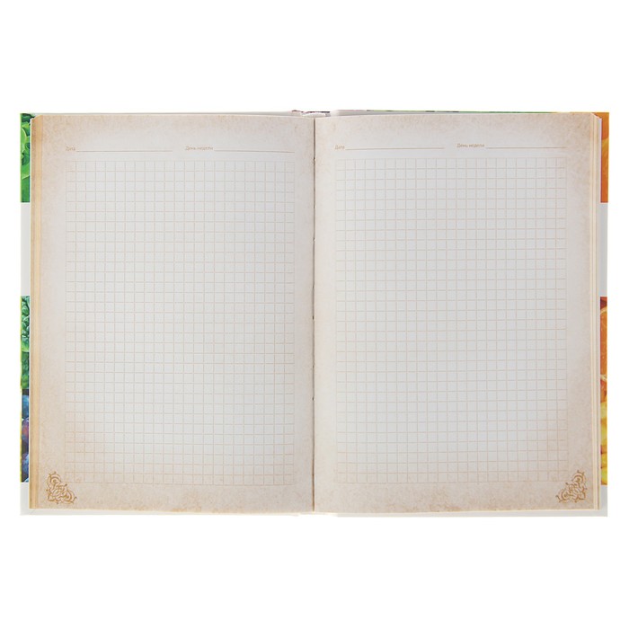 Записная книжка твёрдая обложка А5, 128 листов "Здоровое питание", поролон, матовая ламинация