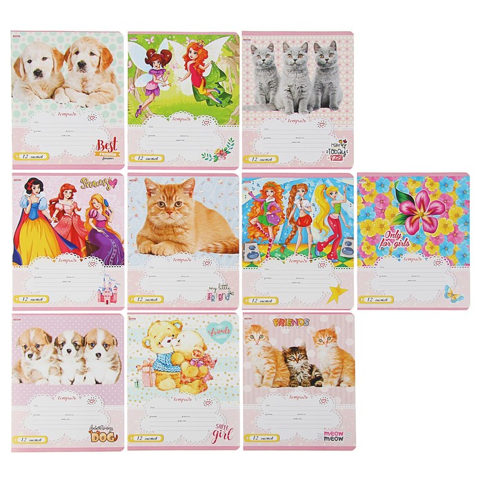 Тетрадь 12 листов линейка "Микс-Д", мелованный картон, 10 видов