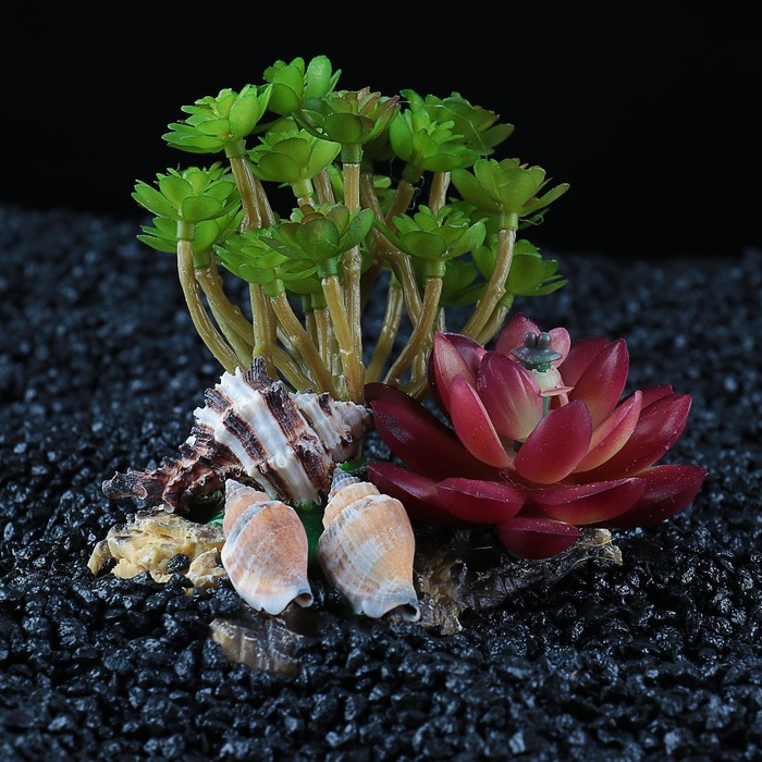 Островок с ракушками и растениями искусственными для аквариума, 12 х 11 х 9,5 см