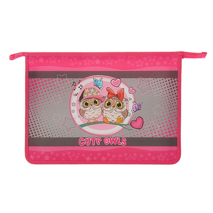 Папка д/тетрадей А4 молния сверху пластик ПТ- 83 дев "Два совёнка"