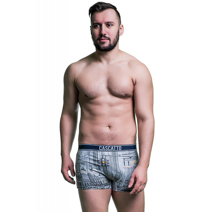 Трусы мужские боксеры BXM132 цвет тёмно-серый, р-р 48 (L)