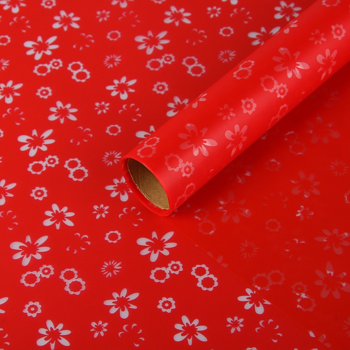 Пленка для цветов и подарков матовая "Ромашки", красный, 0,6 х 5 м