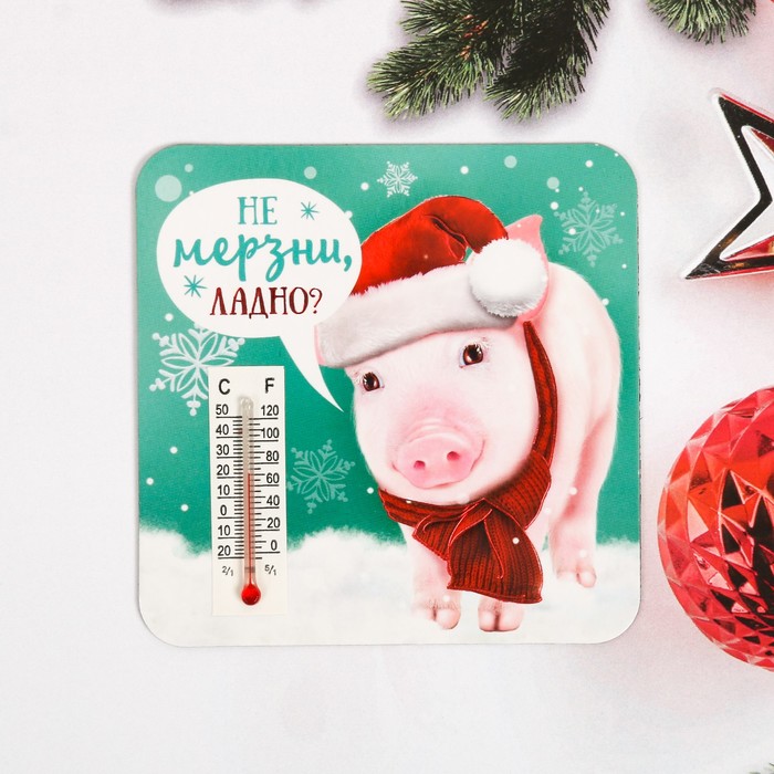 Магнит с термометром "Не мерзни, ладно?"