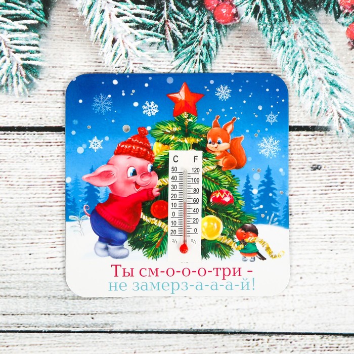 Магнит с термометром "Ты смотри - не замерзай!"