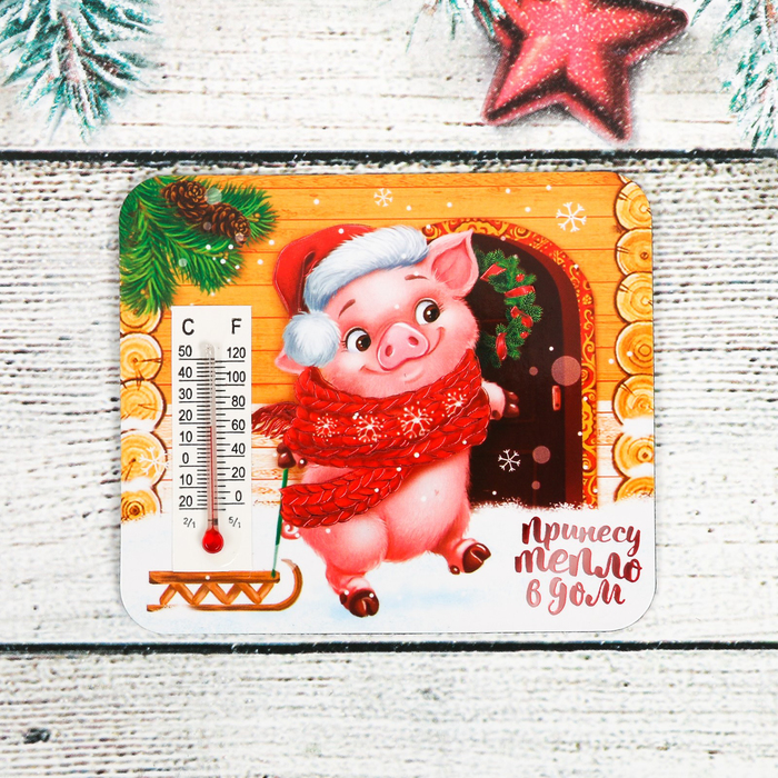 Магнит с термометром "Принесу тепло в дом"