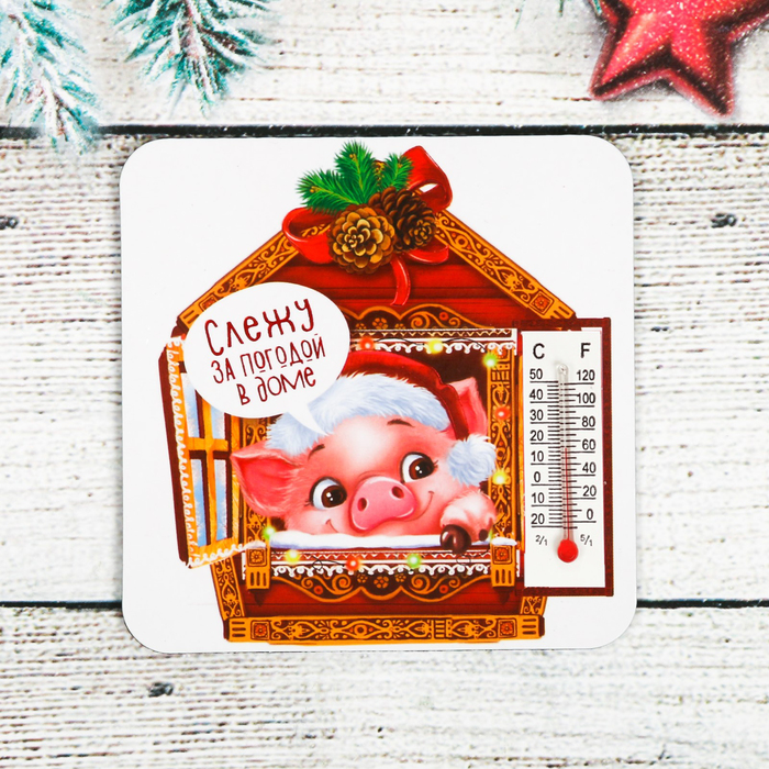 Магнит с термометром "Слежу за погодой в доме"