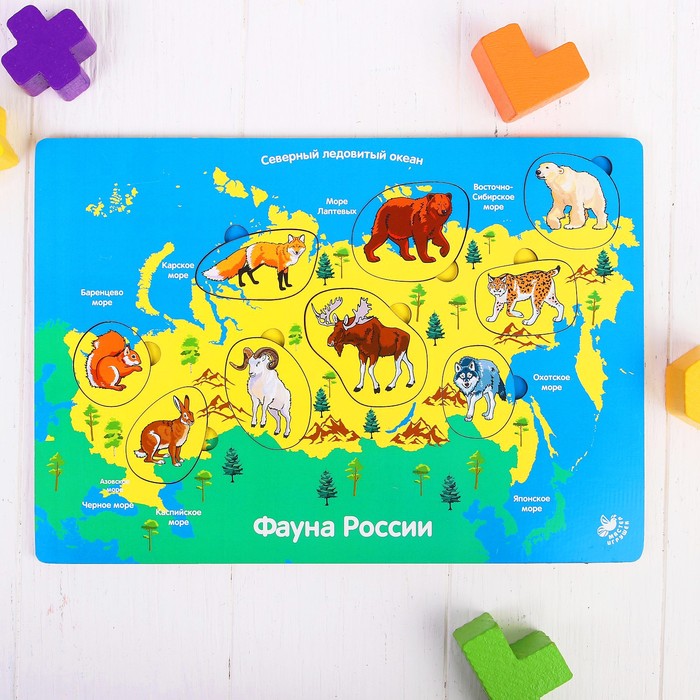 Рамка-вкладыш "Фауна России"