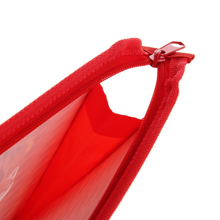 Папка для тетрадей Hatber, А5, молния сверху, пластик, Fox