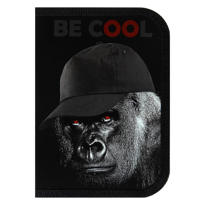 Пенал 1 секция 130 х 190 мм, откидная планка, ткань Hatber для мальчика Be cool NPn_28029