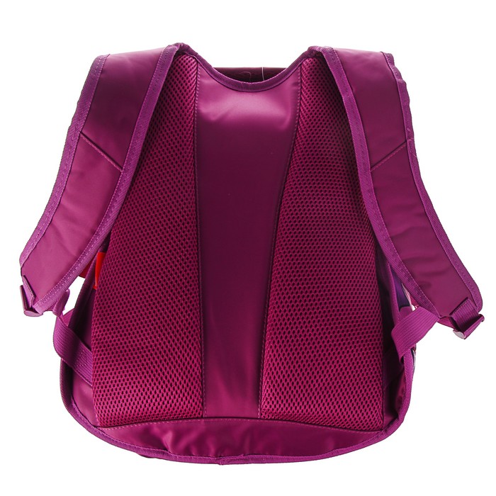 Рюкзак молодежный эргоном.спинка Hatber 42*30*20 Street дев. "Цветочная акварель NRk_26110