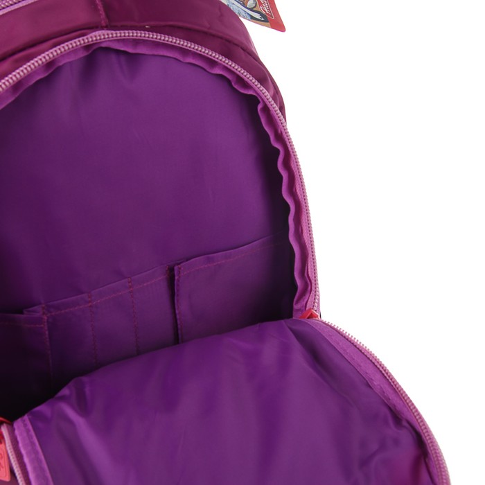 Рюкзак молодежный эргоном.спинка Hatber 42*30*20 Street дев. "Цветочная акварель NRk_26110