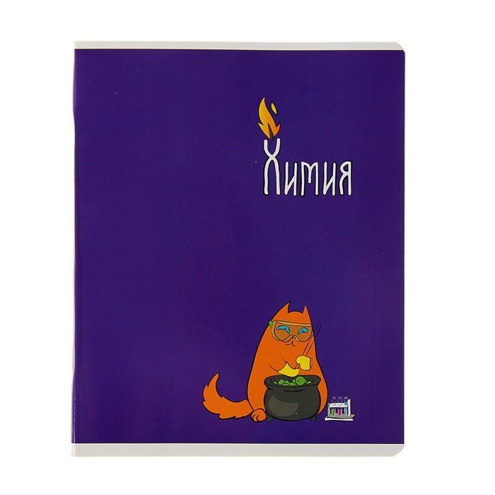 Тетрадь предметная "Жизнь кота. Химия", 48 листов клетка, УФ-лак