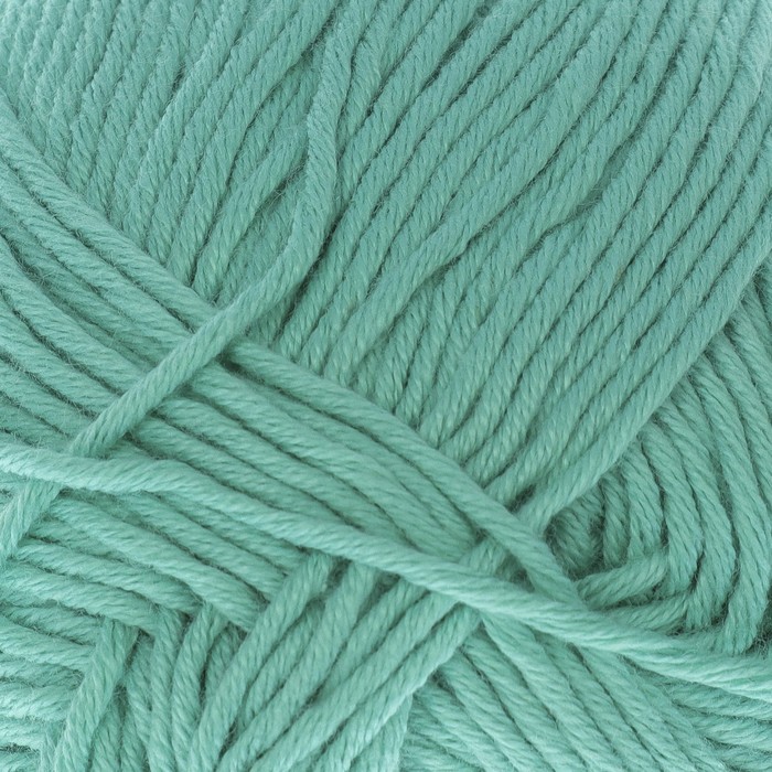 Пряжа "Лаконичная" 50% хлопок, 50% акрил 212м/100гр (411 мята)