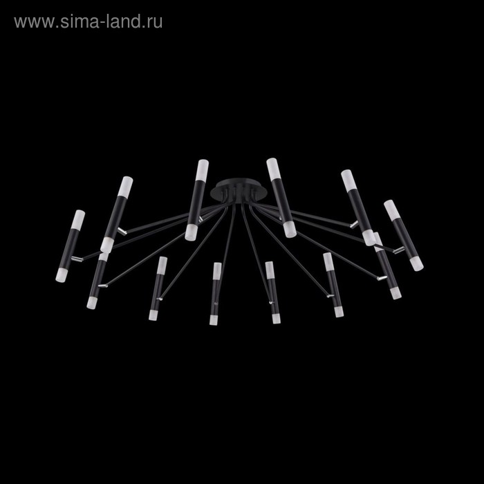 Светильник потолочный Maytoni MOD620CL-24B, 24хG9, 25Вт, 118х118х38 см, цвет чёрный