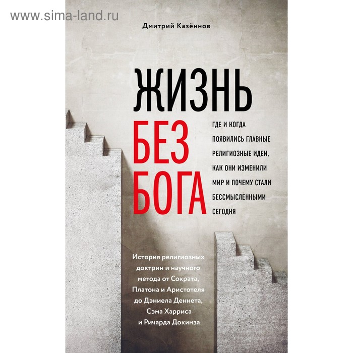 

Жизнь без Бога. Где и когда появились главные религиозные идеи, как они изменили мир и почему стали бессмысленными сегодня. Казённов Д. Н.