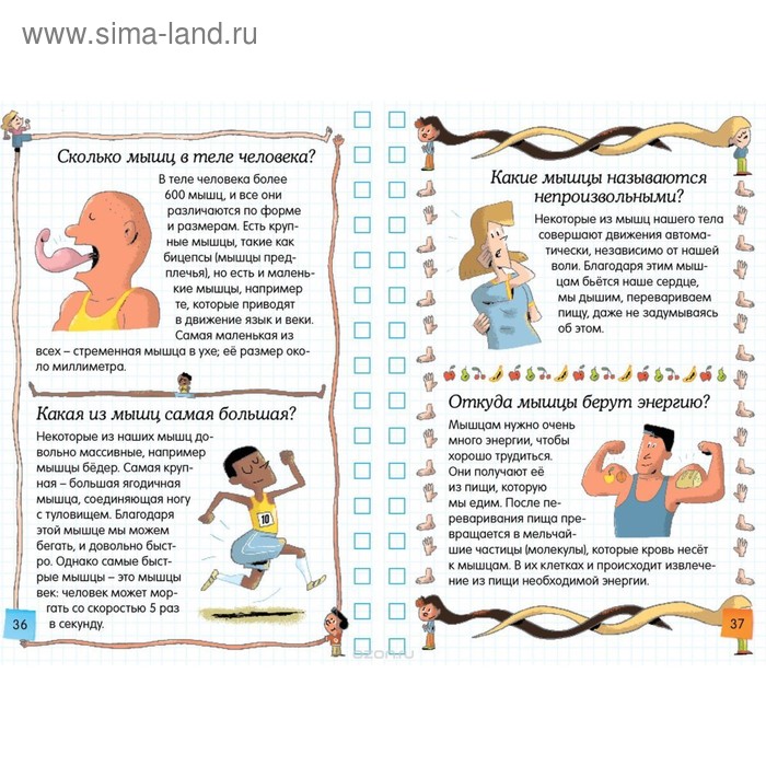 

Тело человека