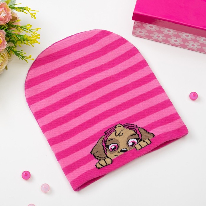 Шапка детская Paw Patrol "Скай" размер 54, хл 65%, пэ 28%, эл 2%