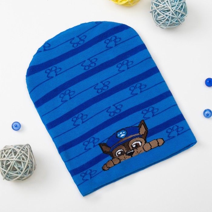 Шапка детская Paw Patrol "Гончик" размер 54, хл 65%, пэ 28%, эл 2%