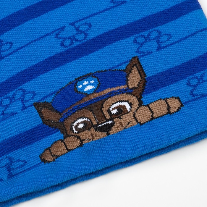 Шапка детская Paw Patrol "Гончик" размер 54, хл 65%, пэ 28%, эл 2%