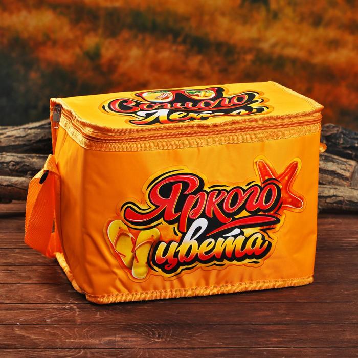 Термосумка "Сочного лета" с элементами холода, 16 л