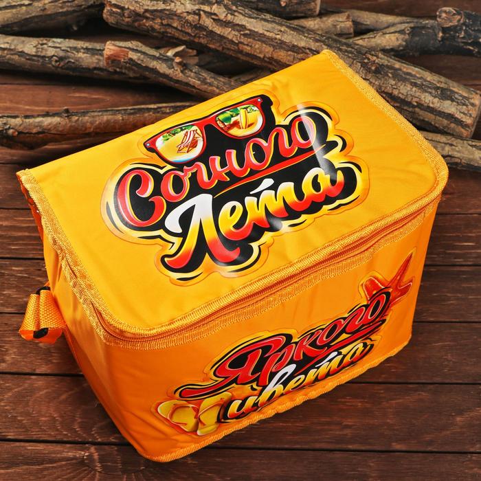 Термосумка "Сочного лета" с элементами холода, 16 л