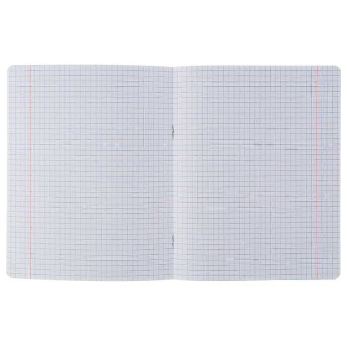 Тетрадь 12 листов клетка «Прилежный ученик», обложка мелованный картон, микс