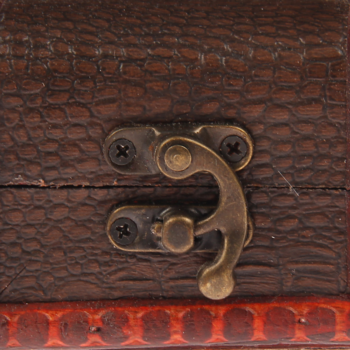 Шкатулка "Рептилия"