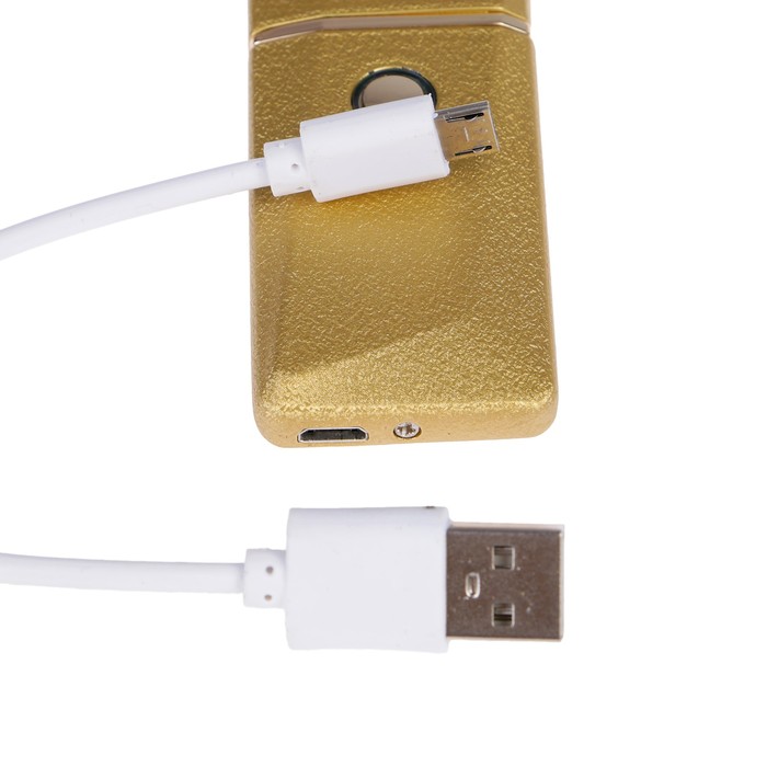 Зажигалка электронная, спираль, USB в комп-те, золотая с выпуклым рисунком, 7.5х12 см