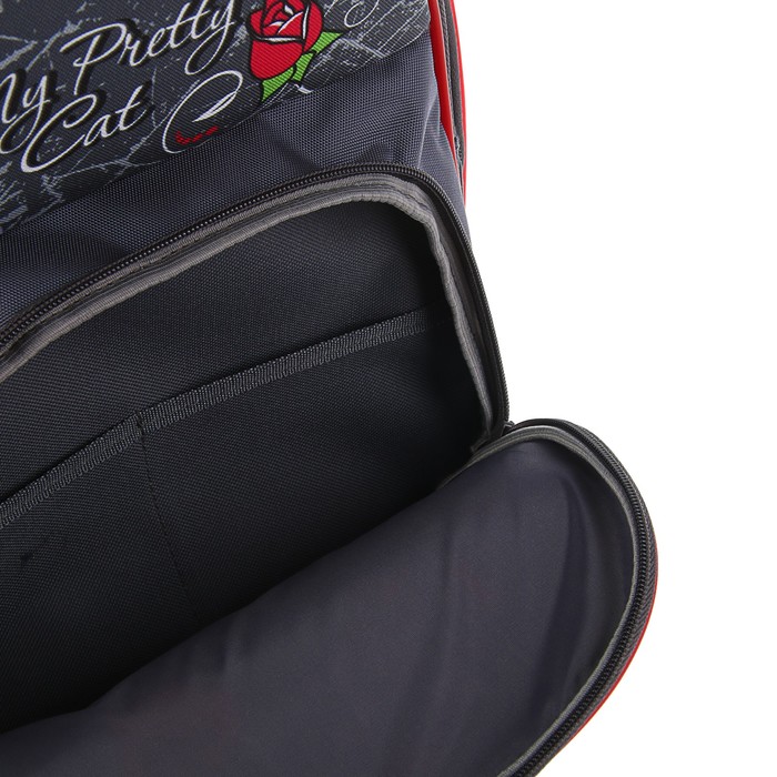 Рюкзак каркасный BagFashion 36*34*17 660 дев "Кошка черная", серый