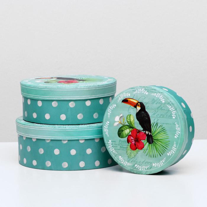 Набор коробок 3в1 "Тукан", 17,5 х 17,5 х 7 - 13,5 х 13,5 х 5 см