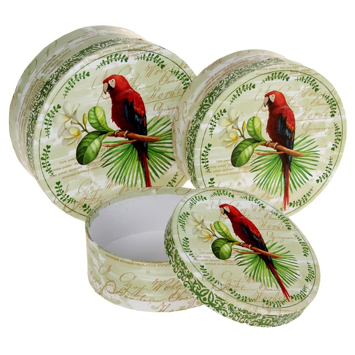 Набор коробок 3в1 "Попугай", 17.5 х 7 - 13.5 х 5 см