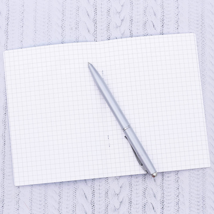 Блокнот «Мурманск. Медведь»