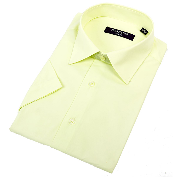 Сорочка приталенная мужская с коротким рукавом RDF2001s_FAV цвет светло-жёлтый, р-р 39 (170-176)   3