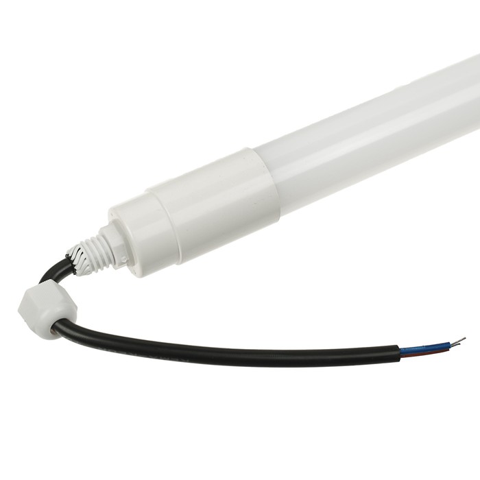 Лампа-светильник светодиодная Luazon T8, 8Вт, IP65, 600 мм, 220 В, зеленый свет